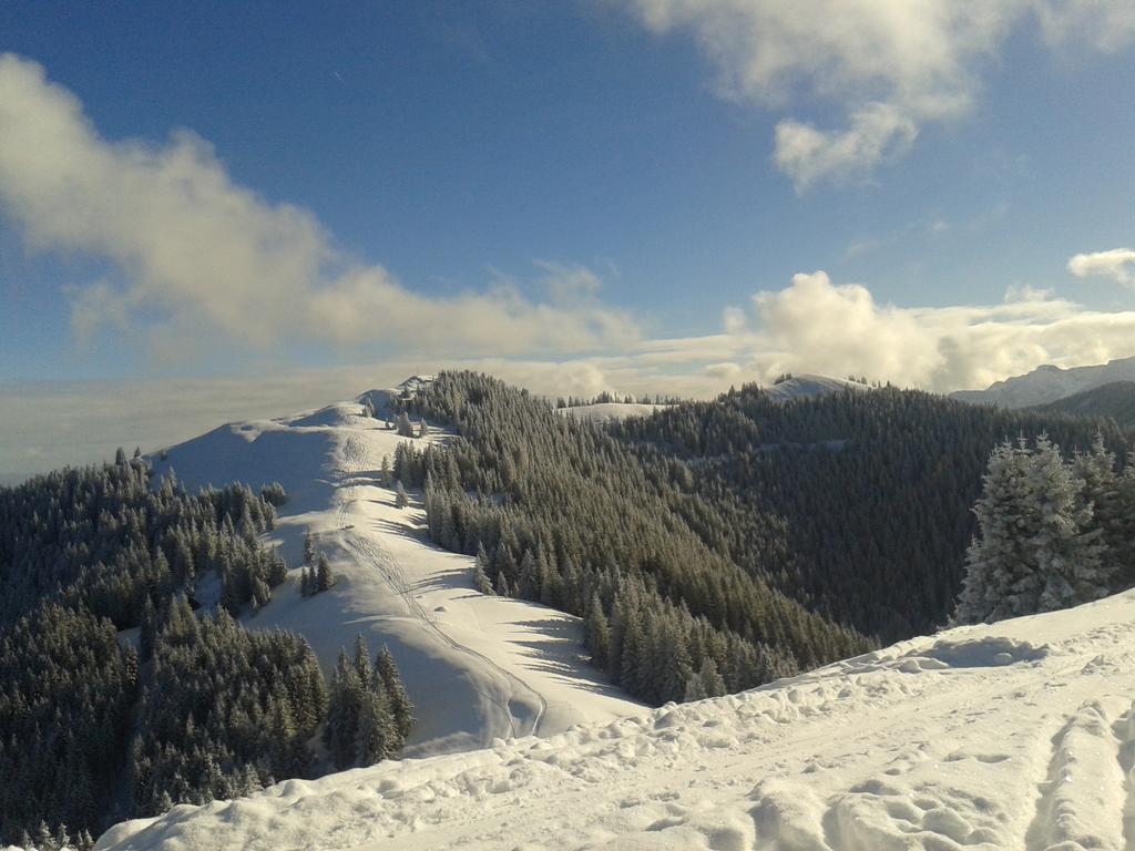 CaLegna Ferienchalet Bad Kohlgrub Esterno foto